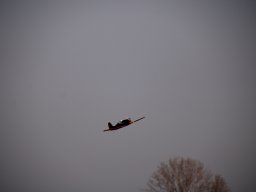 fliegen0903 37